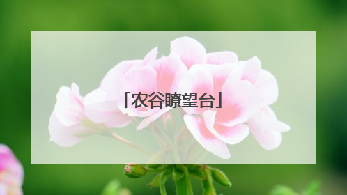 农谷瞭望台
