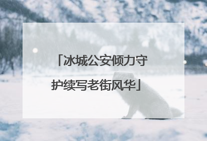 冰城公安倾力守护续写老街风华