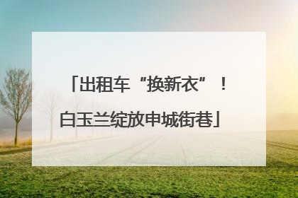出租车“换新衣”！白玉兰绽放申城街巷