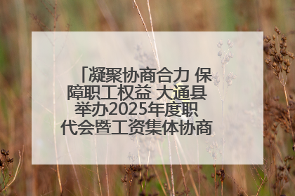 凝聚协商合力 保障职工权益 大通县举办2025年度职代会暨工资集体协商现场观摩交流活动