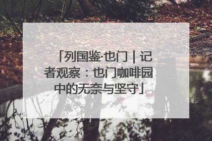 列国鉴·也门｜记者观察：也门咖啡园中的无奈与坚守