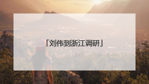 刘伟到浙江调研