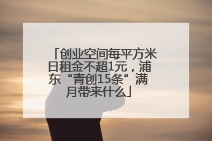 创业空间每平方米日租金不超1元，浦东“青创15条”满月带来什么