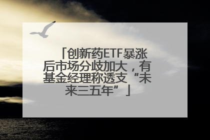 创新药ETF暴涨后市场分歧加大，有基金经理称透支“未来三五年”