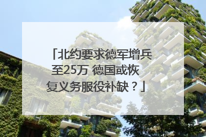 北约要求德军增兵至25万 德国或恢复义务服役补缺？