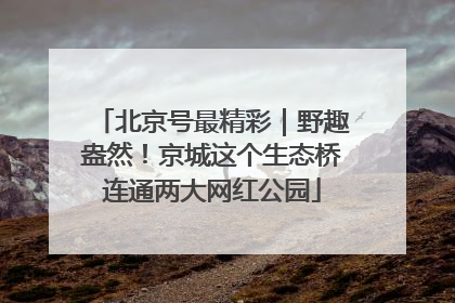 北京号最精彩｜野趣盎然！京城这个生态桥连通两大网红公园