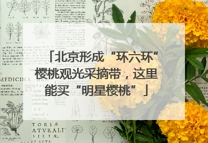 北京形成“环六环”樱桃观光采摘带，这里能买“明星樱桃”