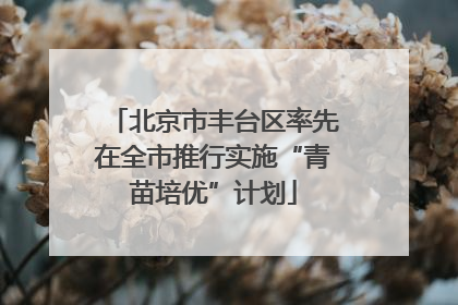 北京市丰台区率先在全市推行实施“青苗培优”计划