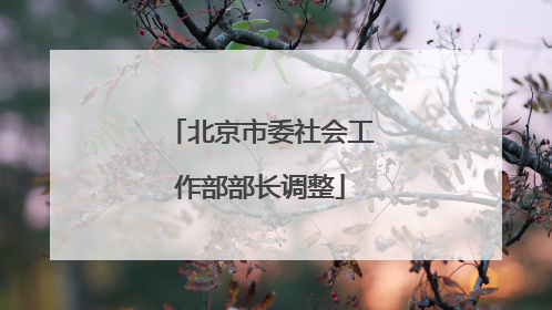 北京市委社会工作部部长调整