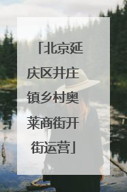 北京延庆区井庄镇乡村奥莱商街开街运营