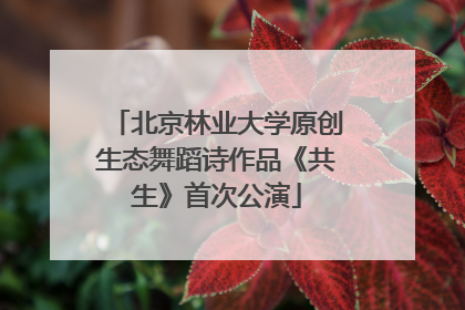 北京林业大学原创生态舞蹈诗作品《共生》首次公演