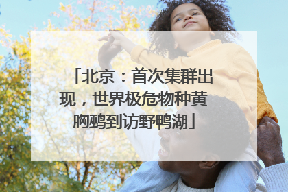 北京：首次集群出现，世界极危物种黄胸鹀到访野鸭湖
