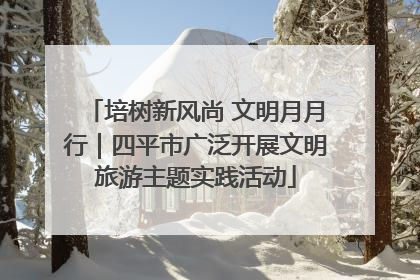 培树新风尚 文明月月行｜四平市广泛开展文明旅游主题实践活动