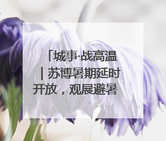 城事·战高温｜苏博暑期延时开放，观展避暑两不误