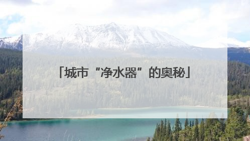 城市“净水器”的奥秘