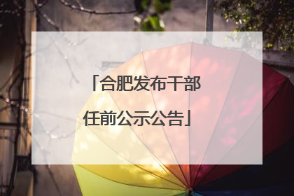 合肥发布干部任前公示公告