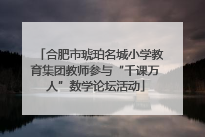 合肥市琥珀名城小学教育集团教师参与“千课万人”数学论坛活动