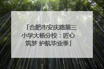 合肥市安庆路第三小学大杨分校：匠心筑梦 护航毕业季