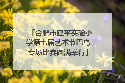 合肥市建平实验小学第七届艺术节巴乌专场比赛圆满举行