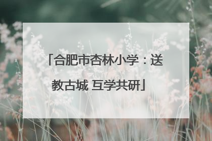 合肥市杏林小学：送教古城 互学共研