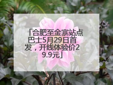 合肥至金寨站点巴士5月29日首发，开线体验价29.9元