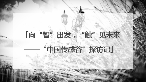 向“智”出发，“触”见未来——“中国传感谷”探访记