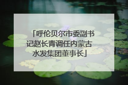 呼伦贝尔市委副书记赵长青调任内蒙古水发集团董事长