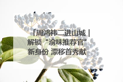 周鸿祎二进山城｜解锁“渝味推荐官”新身份 漂移首秀献给“重庆造”