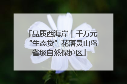 品质西海岸｜千万元“生态贷”花落灵山岛省级自然保护区