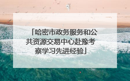 哈密市政务服务和公共资源交易中心赴豫考察学习先进经验