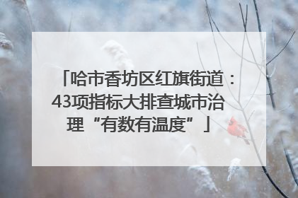 哈市香坊区红旗街道：43项指标大排查城市治理“有数有温度”