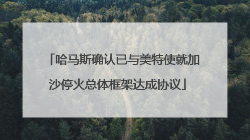 哈马斯确认已与美特使就加沙停火总体框架达成协议