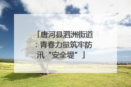 唐河县泗洲街道：青春力量筑牢防汛“安全堤”