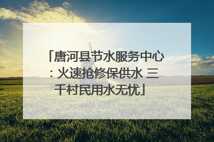 唐河县节水服务中心：火速抢修保供水 三千村民用水无忧