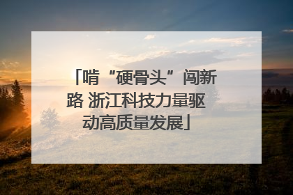 啃“硬骨头”闯新路 浙江科技力量驱动高质量发展
