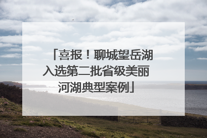 喜报！聊城望岳湖入选第二批省级美丽河湖典型案例