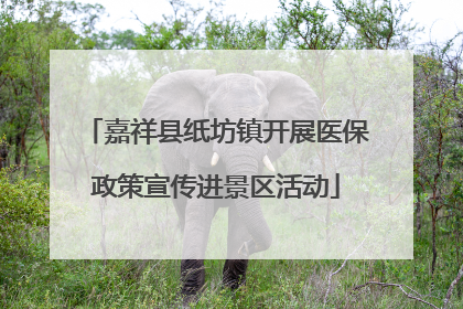 嘉祥县纸坊镇开展医保政策宣传进景区活动