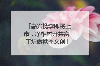嘉兴槜李即将上市，净相村开共富工坊做槜李文创