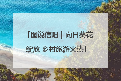 图说信阳｜向日葵花绽放 乡村旅游火热