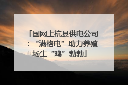国网上杭县供电公司：“满格电”助力养殖场生“鸡”勃勃