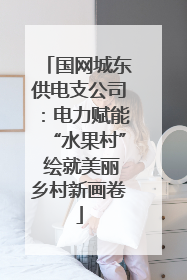 国网城东供电支公司：电力赋能“水果村” 绘就美丽乡村新画卷