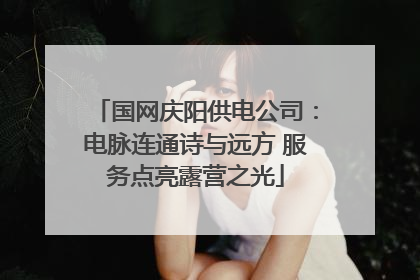 国网庆阳供电公司：电脉连通诗与远方 服务点亮露营之光