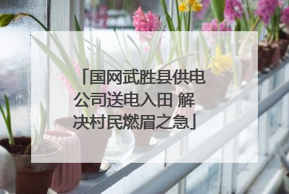 国网武胜县供电公司送电入田 解决村民燃眉之急