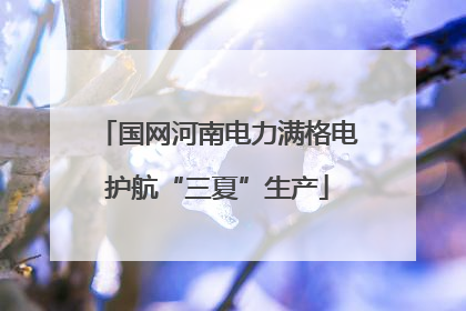 国网河南电力满格电护航“三夏”生产