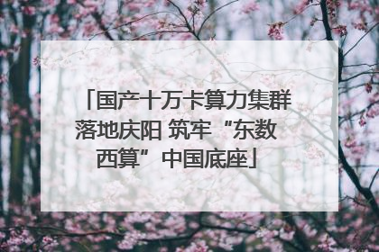 国产十万卡算力集群落地庆阳 筑牢“东数西算”中国底座