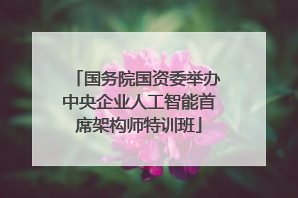 国务院国资委举办中央企业人工智能首席架构师特训班