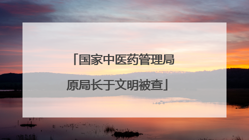 国家中医药管理局原局长于文明被查