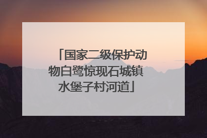 国家二级保护动物白鹭惊现石城镇水堡子村河道