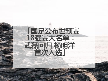 国足公布世预赛18强赛大名单：武磊回归 杨明洋首次入选