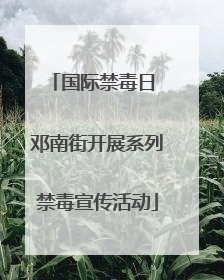 国际禁毒日 邓南街开展系列禁毒宣传活动